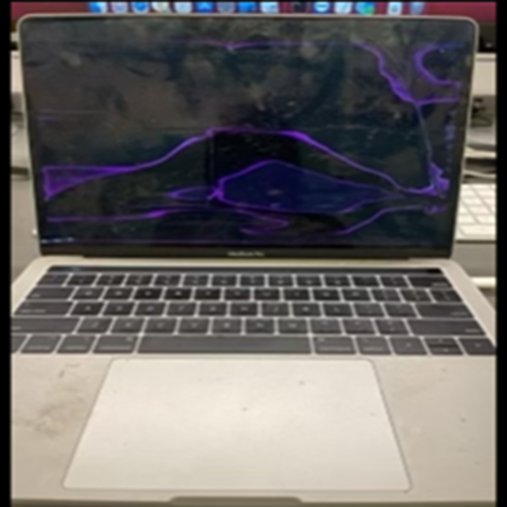 Hunter Biden's Laptop logo